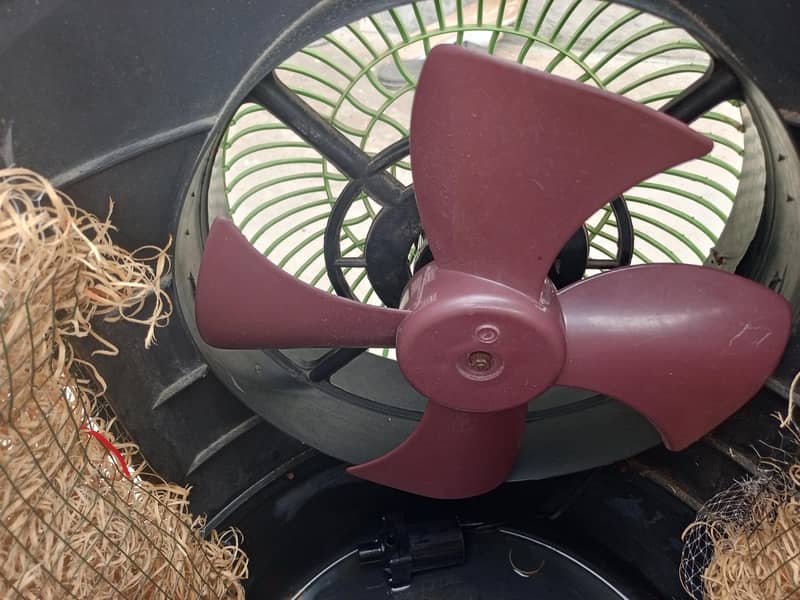 Ac DC cooler 1
