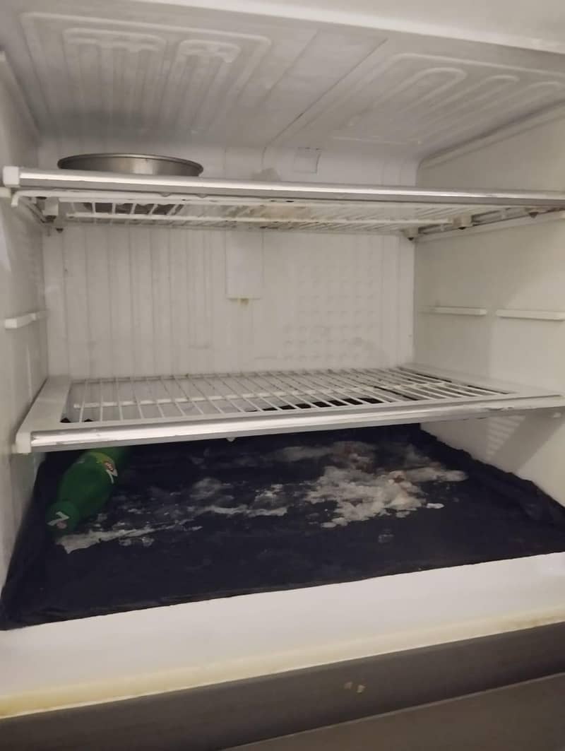 fridge 2