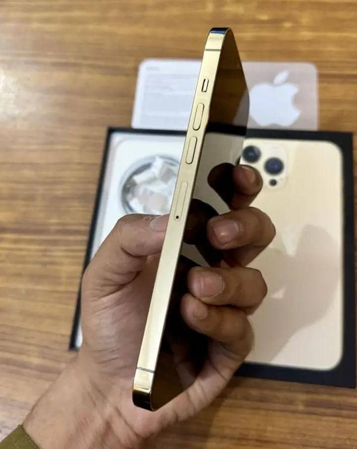 Apple iPhone 13 Pro Max 1