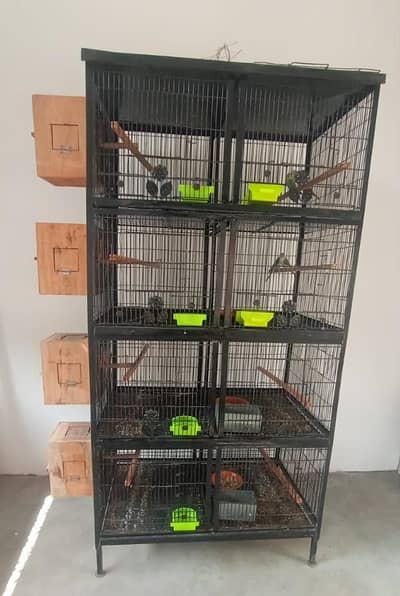 bird cage