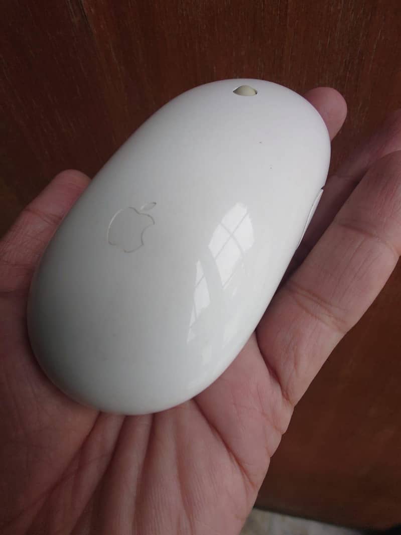 apple original mouse 0
