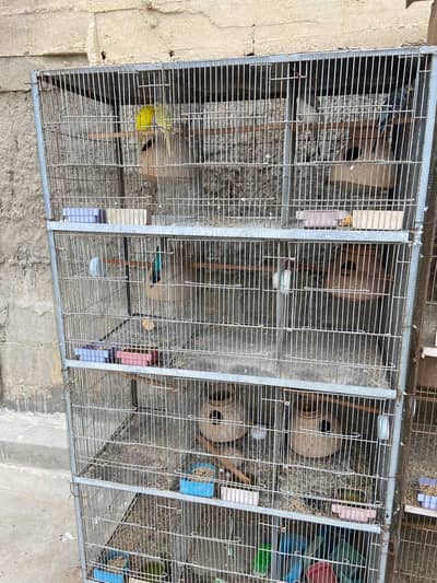 12 portion cage for birds