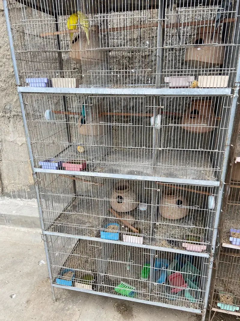12 portion cage for birds — photo 3