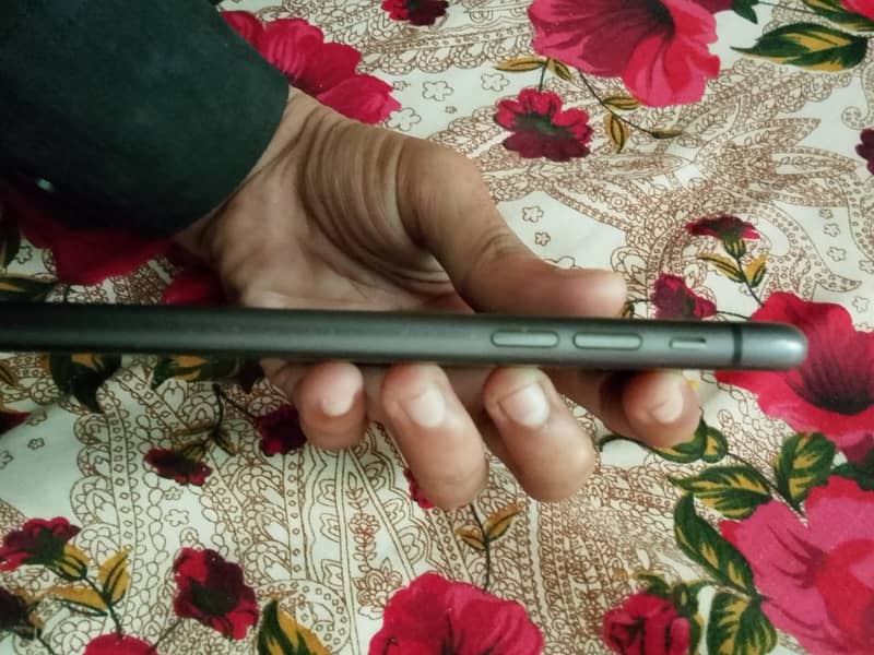 Apple iPhone 11 2
