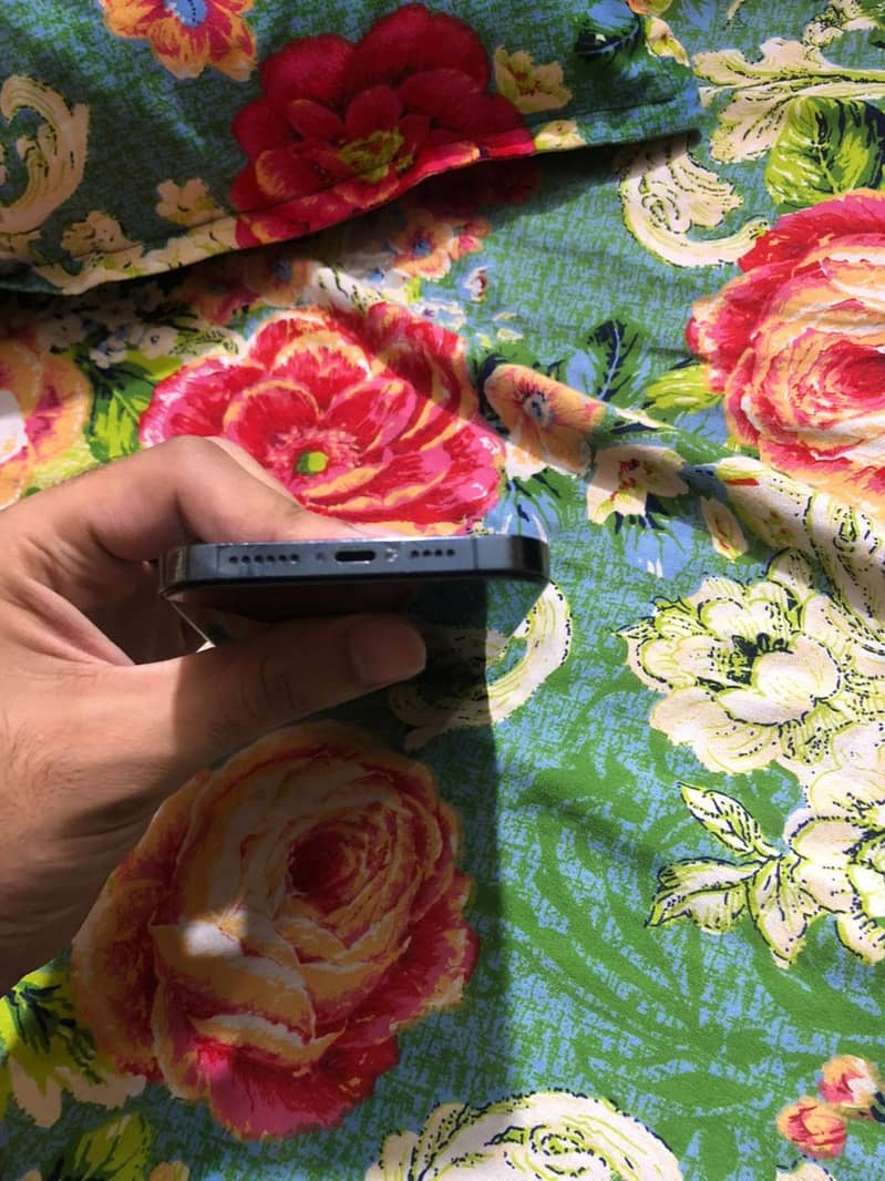 iphone 12 pro max 1