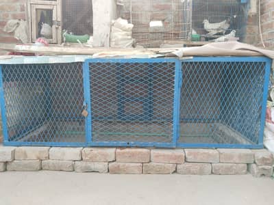 CAGES
