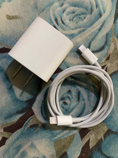 Apple 20wt original adoptr with wire