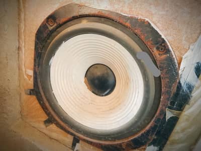 10 inch powerful Magnet heavy duty speaker with extra Bass