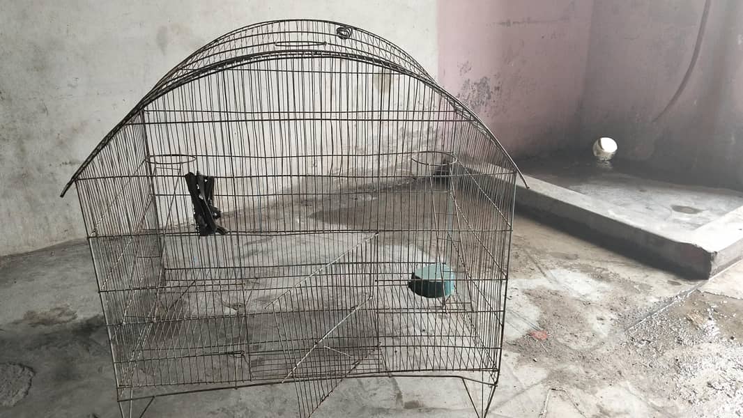 cages 1