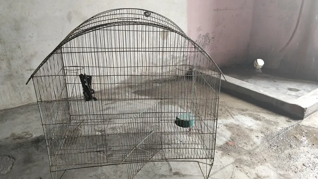 cages — photo 2