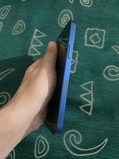Apple iPhone 12 waterproof