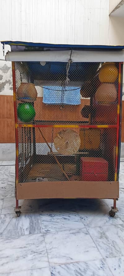 pinjra for birds