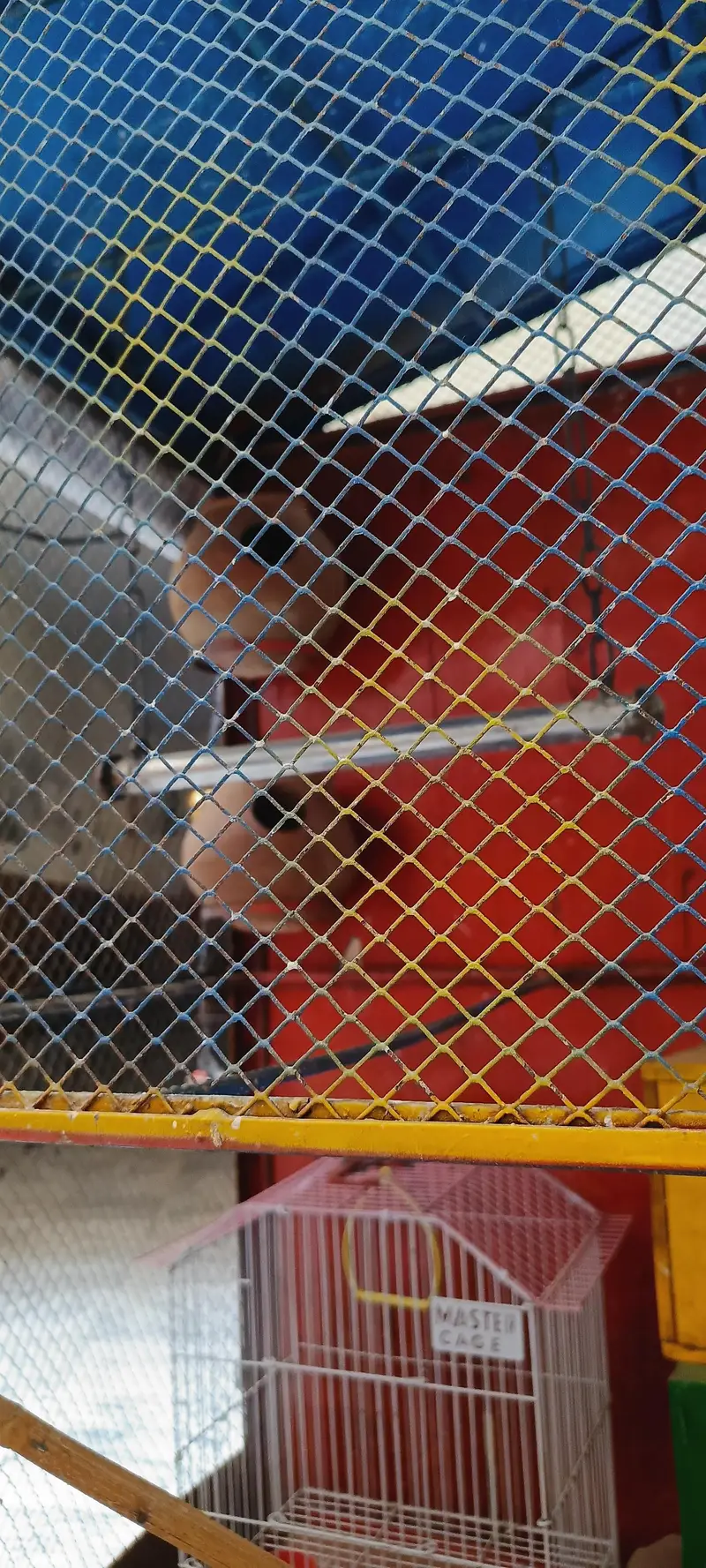 pinjra for birds — photo 4