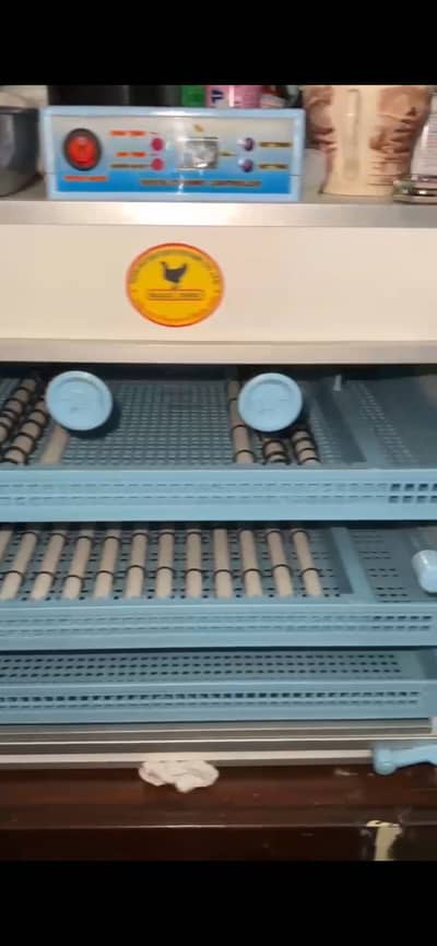 Black chick Incubator (Thailand import)