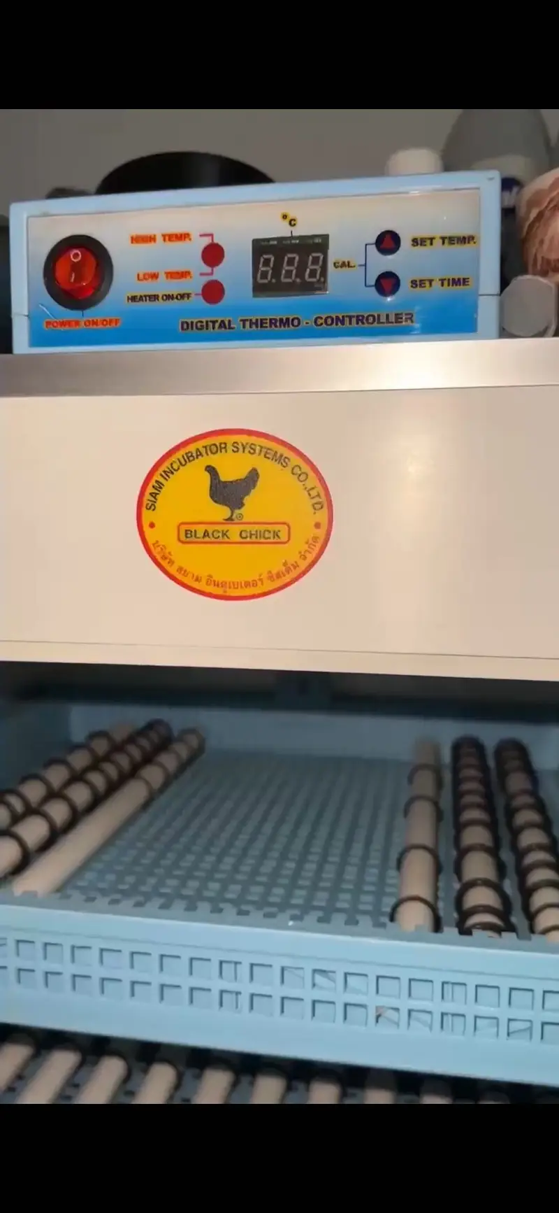 Black chick Incubator (Thailand import) — photo 2