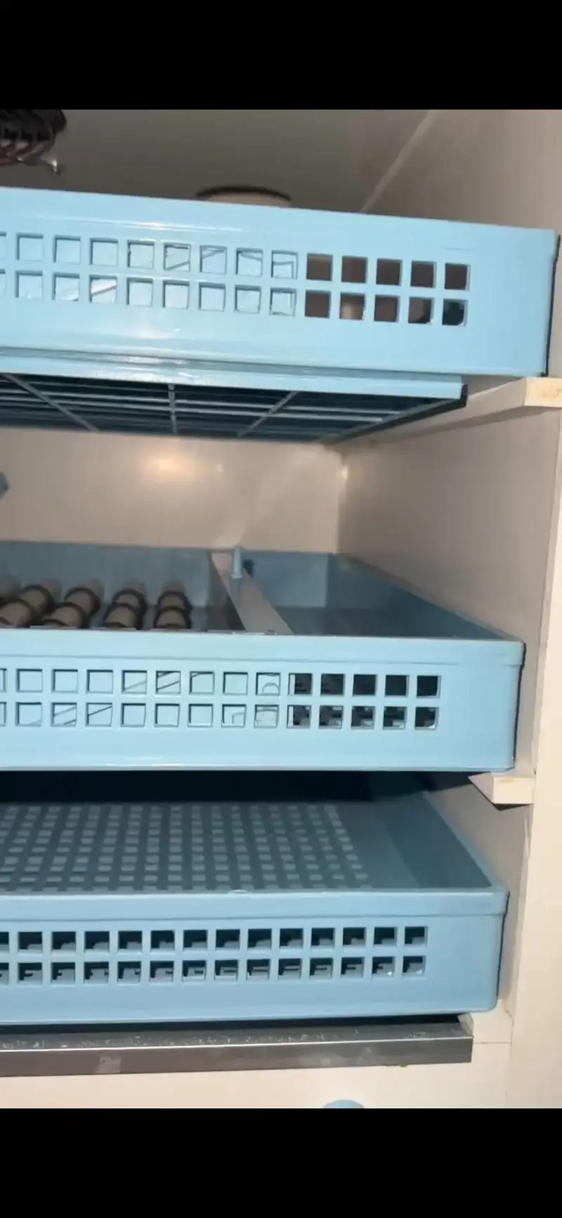 Black chick Incubator (Thailand import) — photo 3