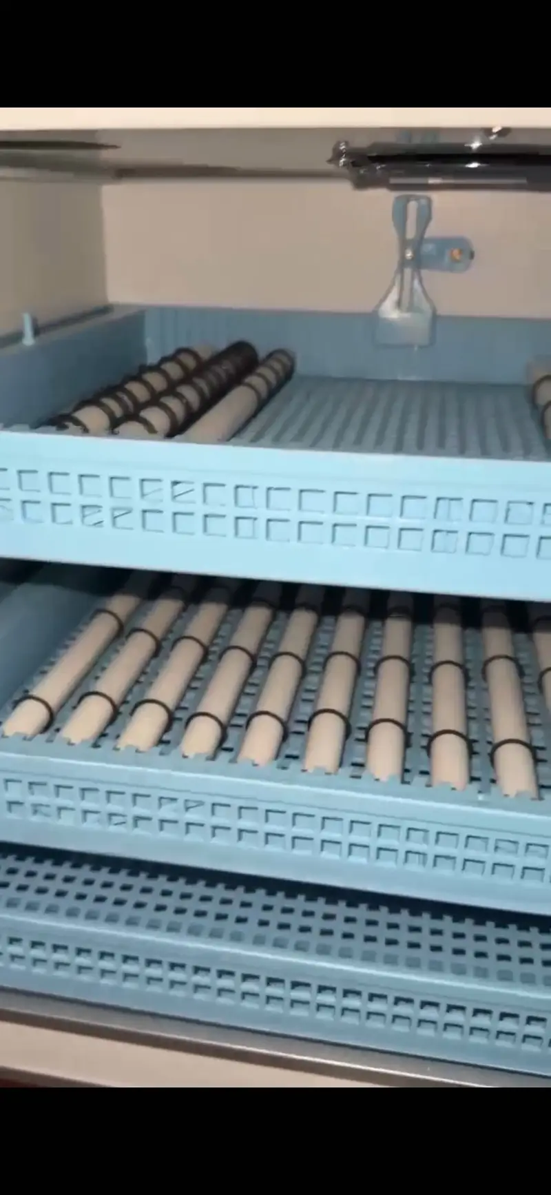 Black chick Incubator (Thailand import) — photo 5