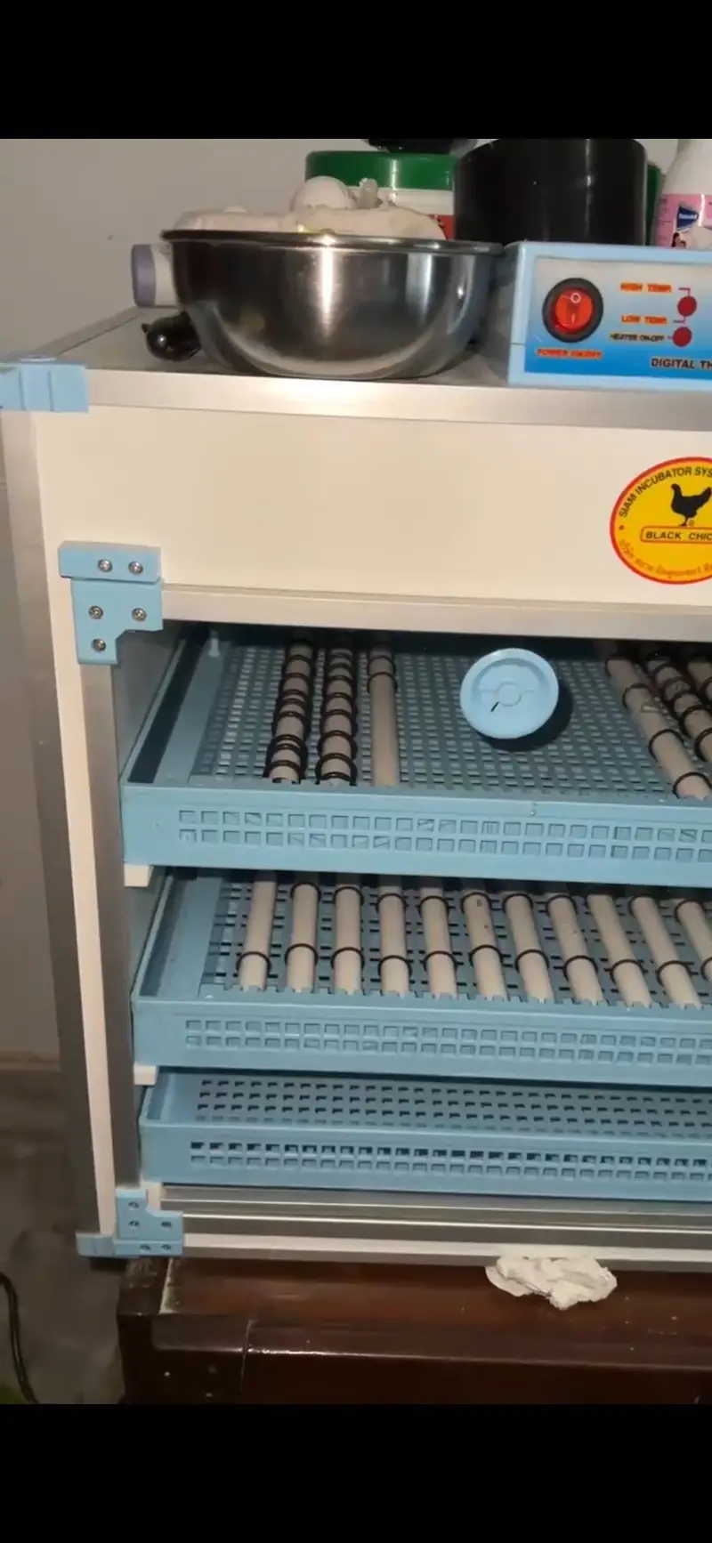 Black chick Incubator (Thailand import) — photo 7