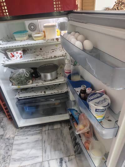 Big size Refrigerator For Sale