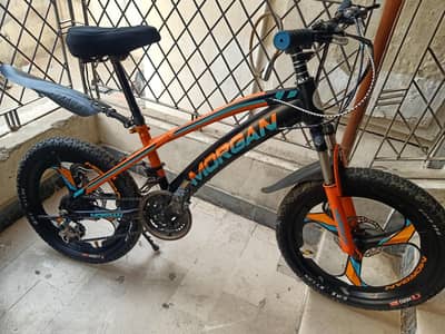 Morgan 20 Size Cycle