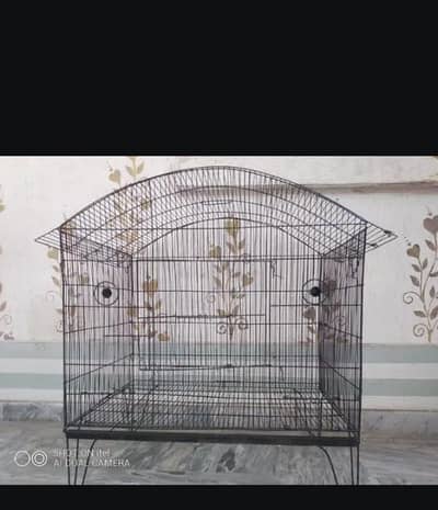 large size cage 29/29