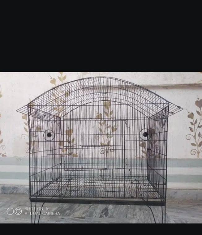 large size cage 29/29 0