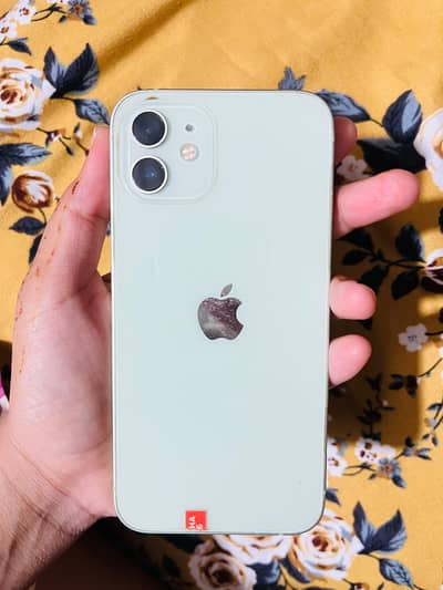 Apple iPhone 12