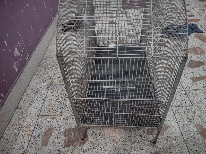 urgent sale — photo 4
