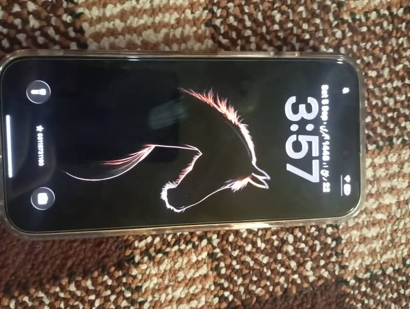 Apple iPhone 16 Pro Max 1