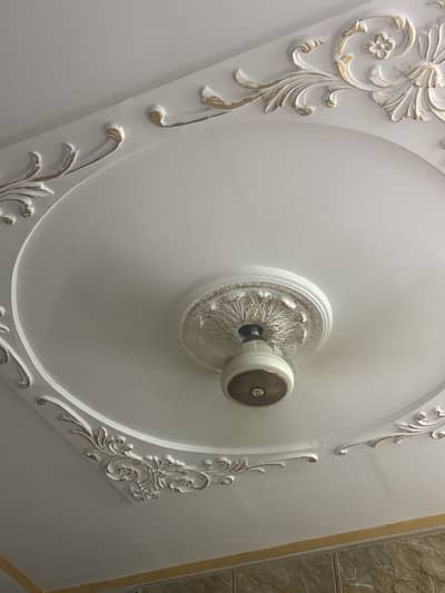 Ceiling fans 2