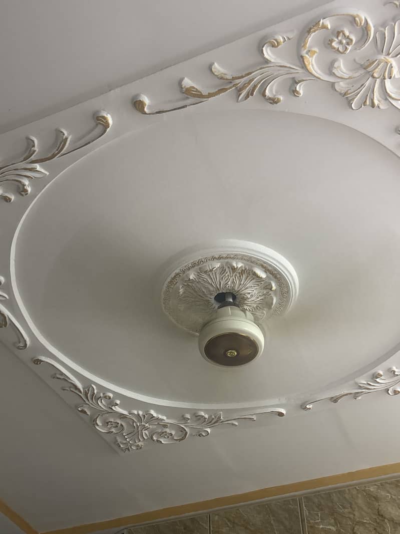 Ceiling fans 2 0
