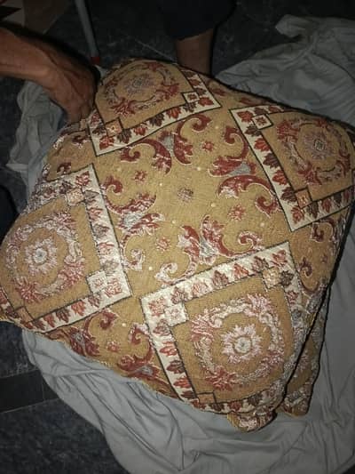 Floor cushions