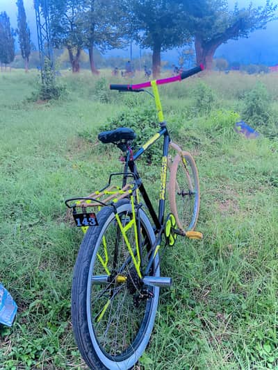 harpur pan bazaer