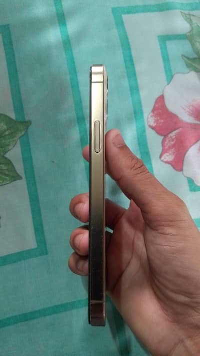 Apple iPhone 12 Pro