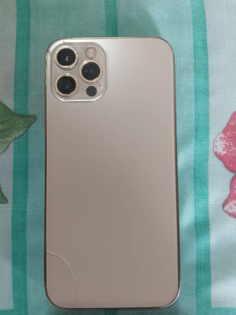 Apple iPhone 12 Pro 1