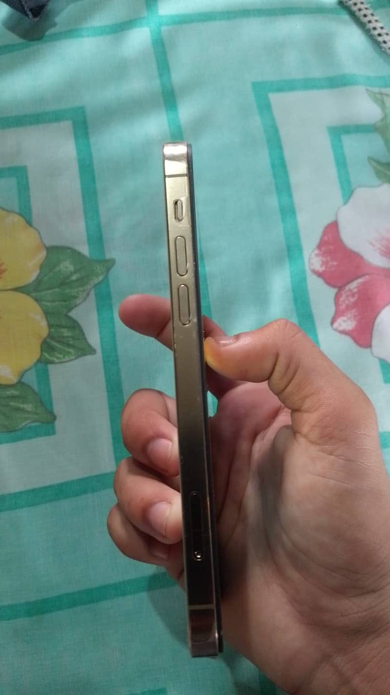 Apple iPhone 12 Pro 2