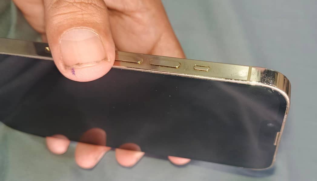 Apple iPhone 13 Pro 1