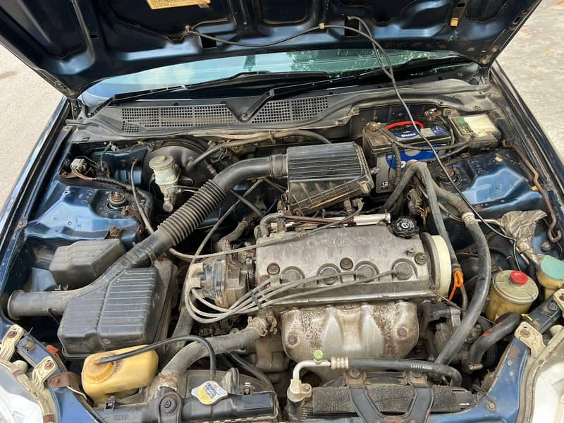 2000 eix civice 7