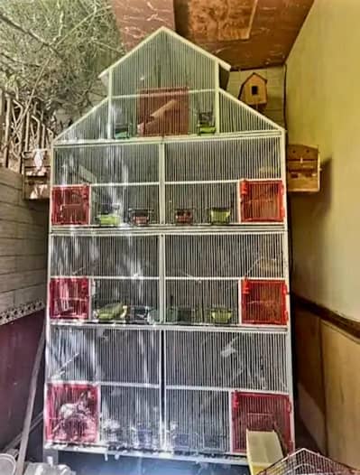Birds Cage with birds and box |Urgent sale| Best business | Home Decor