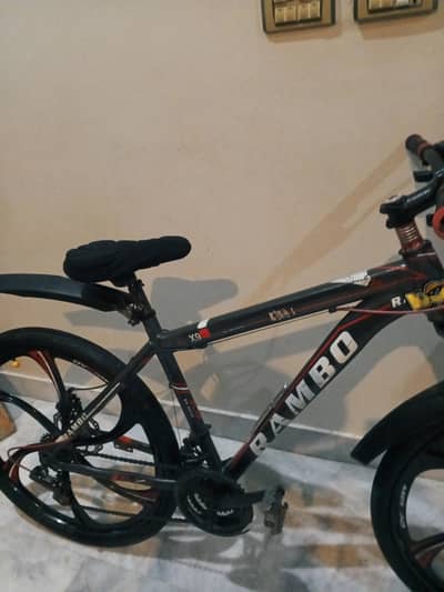 mountain bike
