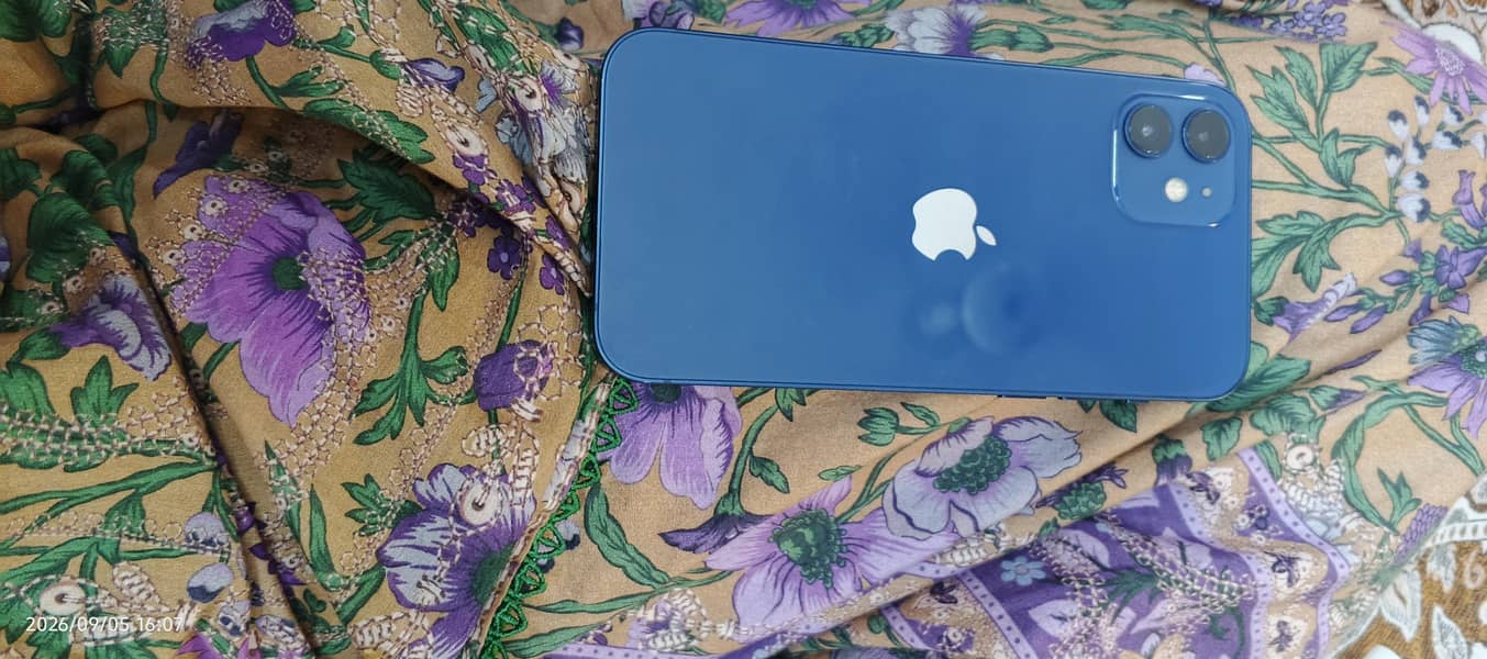 Apple iPhone 12 1