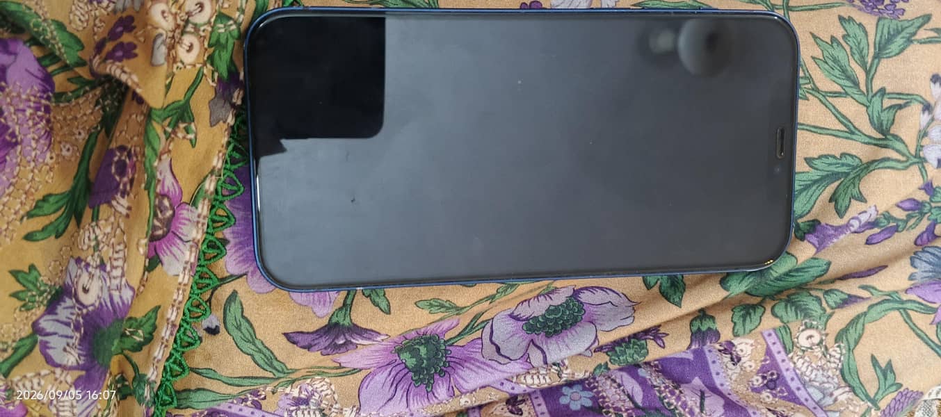 Apple iPhone 12 6