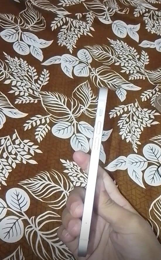 Apple iPhone 12 2