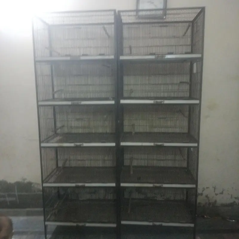 Full size pengra