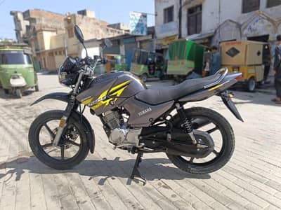 Yamaha ybr g