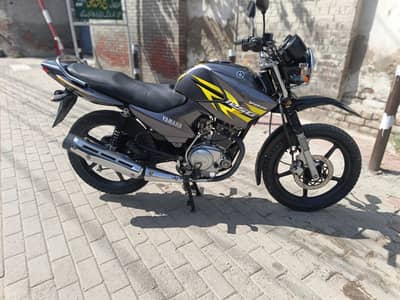 Yamaha ybr g