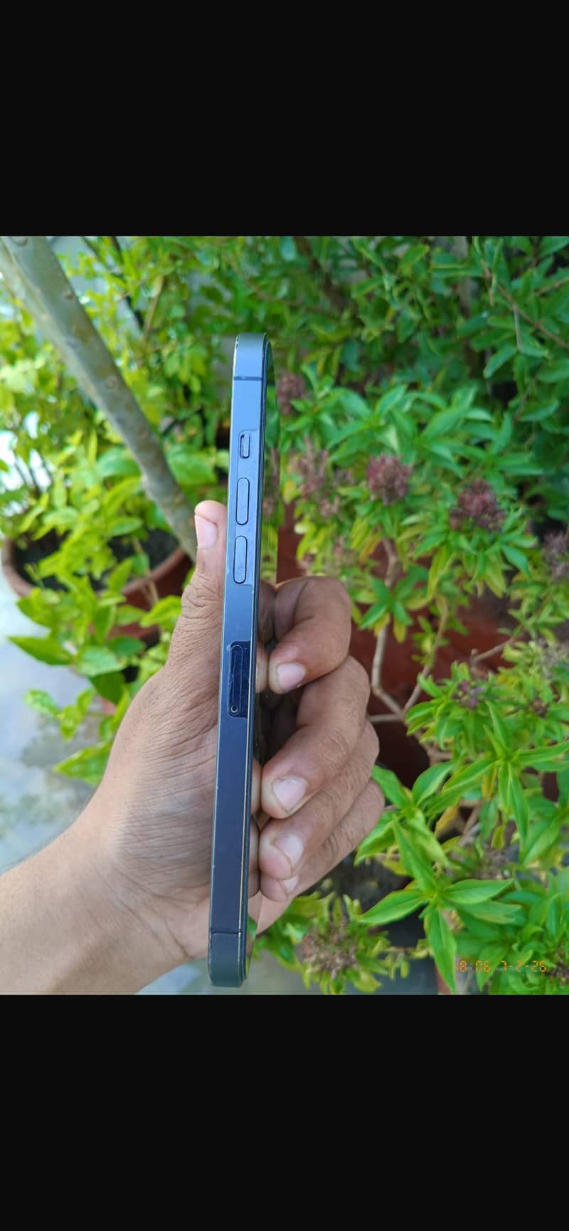 Apple iPhone 12 Pro Max 1