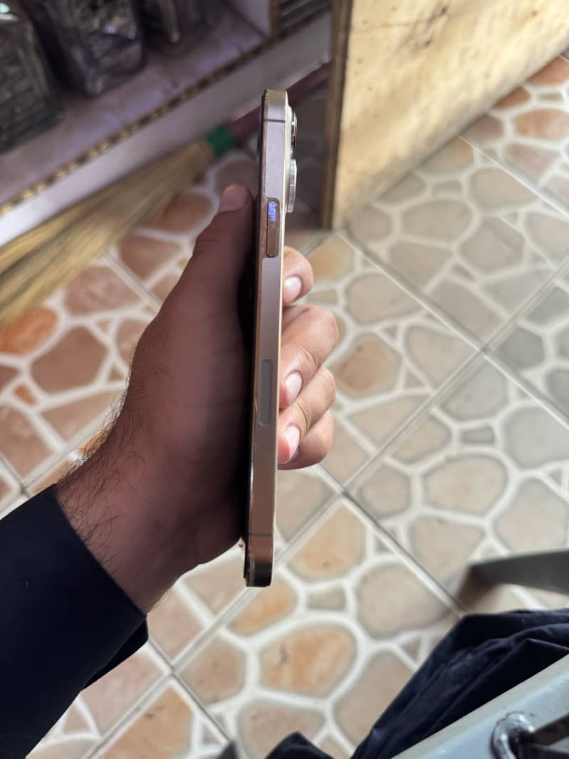 Apple iPhone 13 Pro Max 5