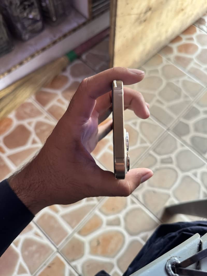 Apple iPhone 13 Pro Max 6