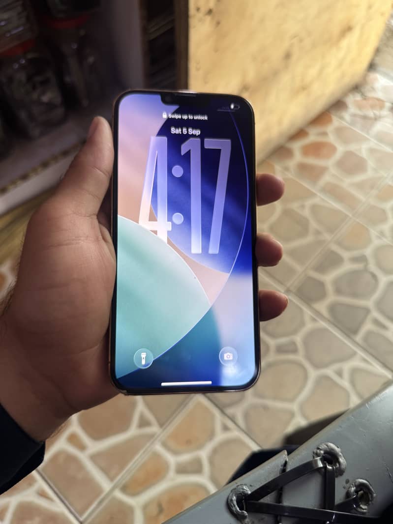 Apple iPhone 13 Pro Max 9